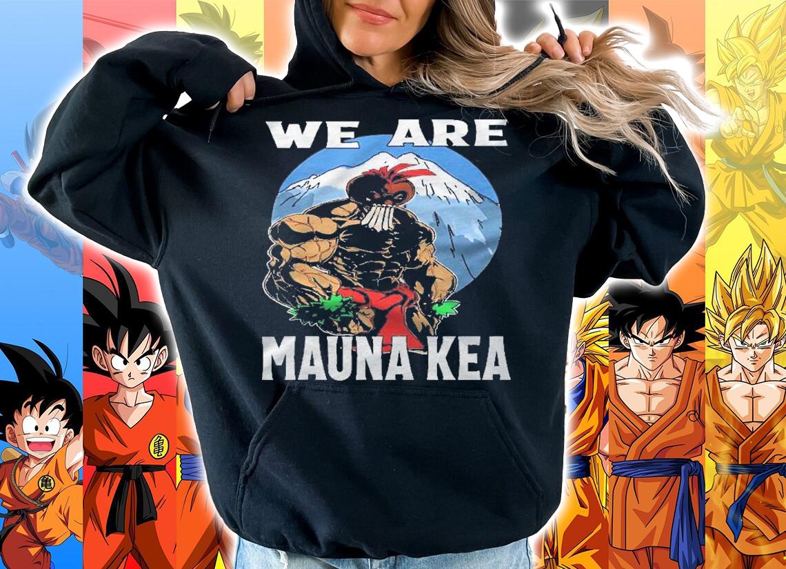 We Are Mauna Kea Hawaii Warrior Protest Rally Shirt hoodie