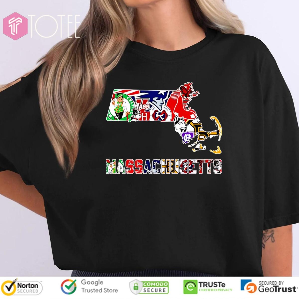 Boston Sports Teams Massachusetts US State T-shirt