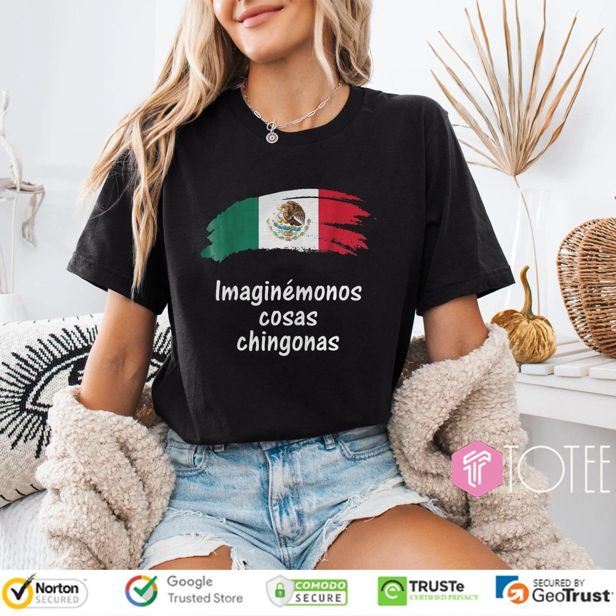 Imaginémonos Cosas Chingonas Mexican Flag T-shirt 4