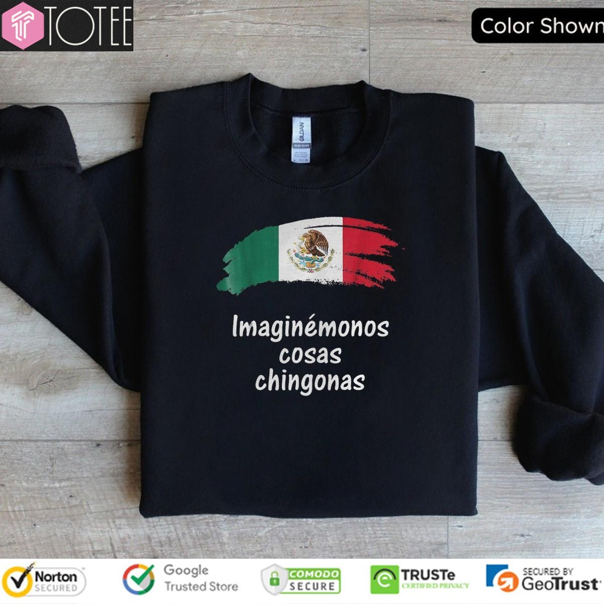 Imaginémonos Cosas Chingonas Mexican Flag T-shirt 3