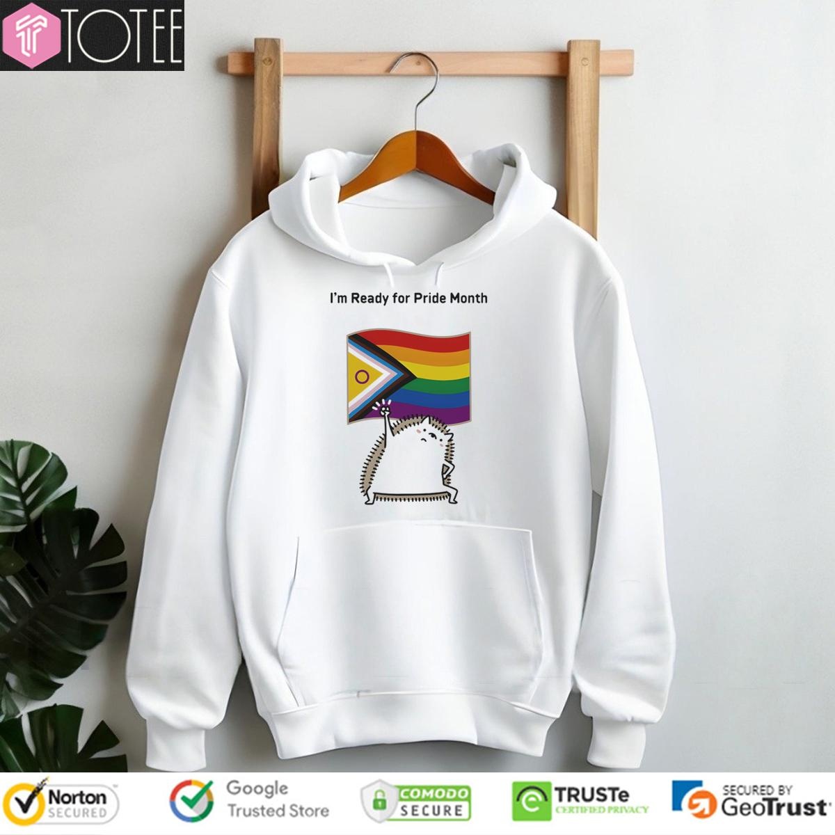 Im Ready For Lgbt Pride Month Flag Hedgehog T-shirt 2