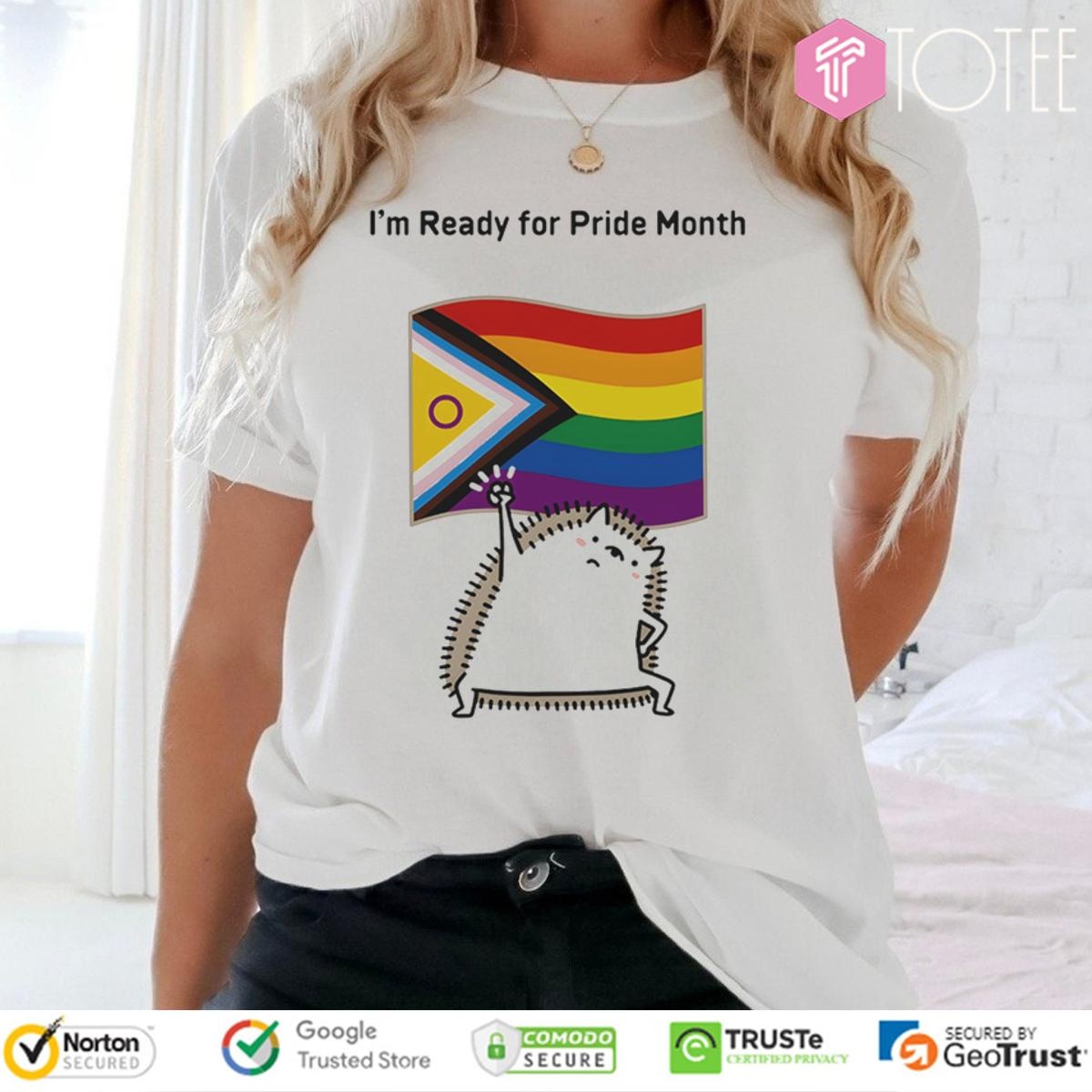 Im Ready For Lgbt Pride Month Flag Hedgehog T-shirt