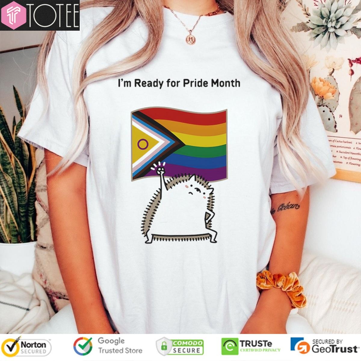 Im Ready For Lgbt Pride Month Flag Hedgehog T-shirt 4