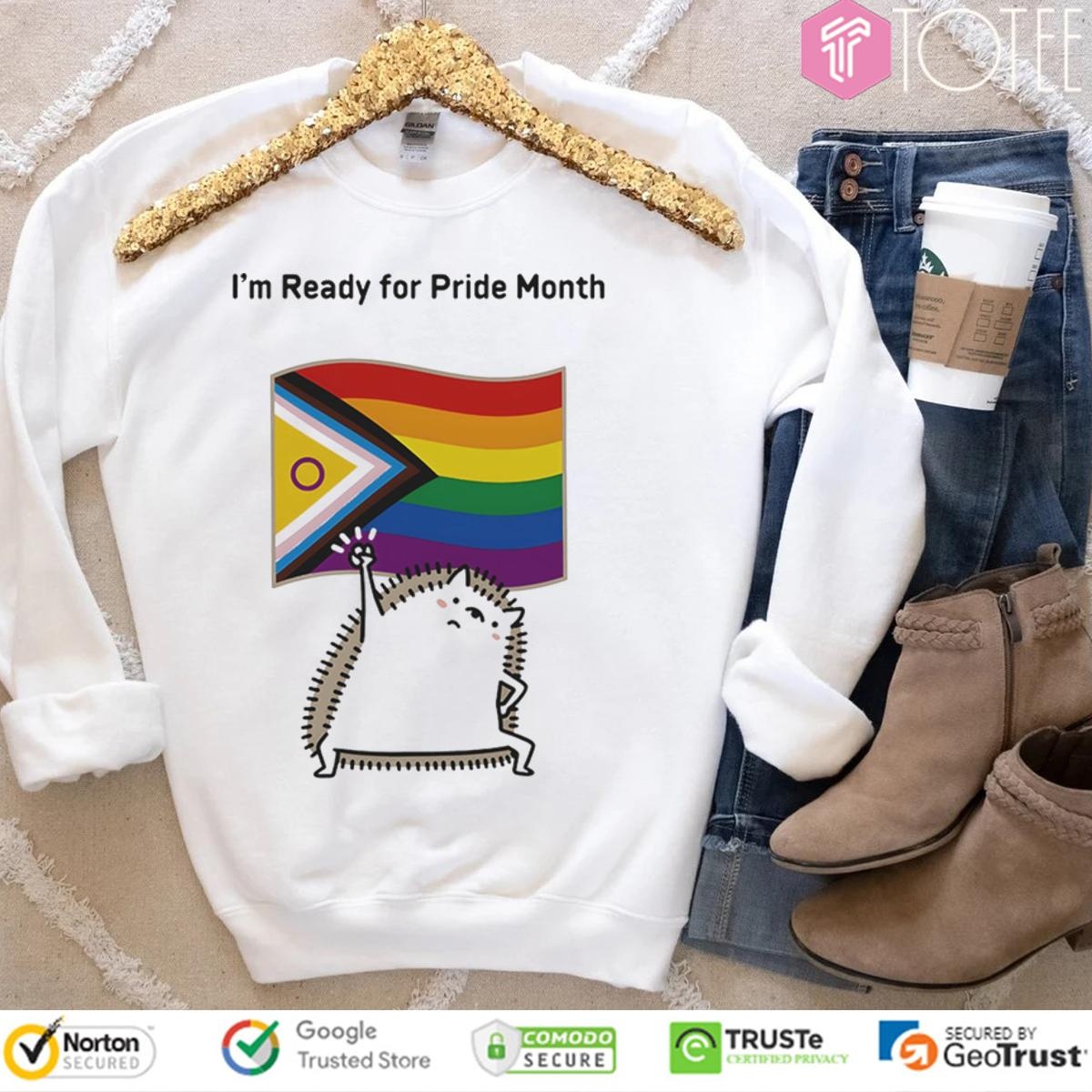 Im Ready For Lgbt Pride Month Flag Hedgehog T-shirt 3